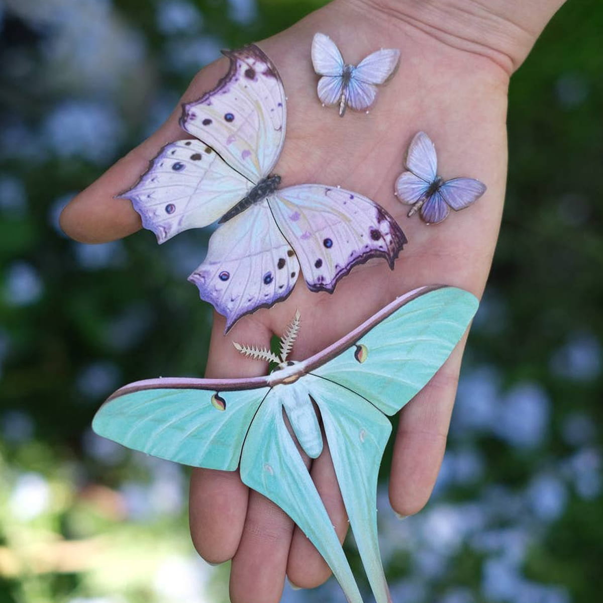 Moth &amp; Myth Hyacinth Moth Set (4 pcs) - product shown being held by a hand. 