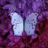 Moth & Myth Hyacinth Moth Set (4 pcs) - product shown on purple flowers. 