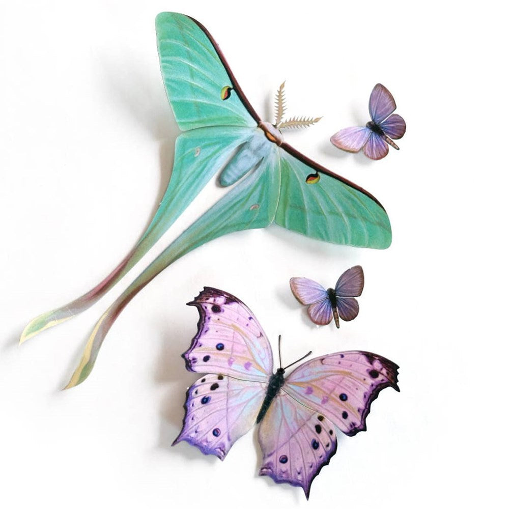 Moth &amp; Myth Hyacinth Moth Set (4 pcs)