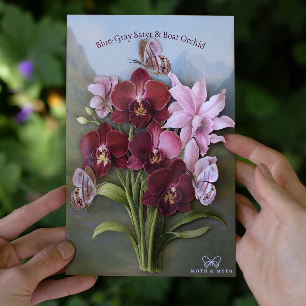 Moth &amp; Myth Blue-Gray Satyr &amp; Boat Orchid Set (4 pcs) - product shown in packging. 