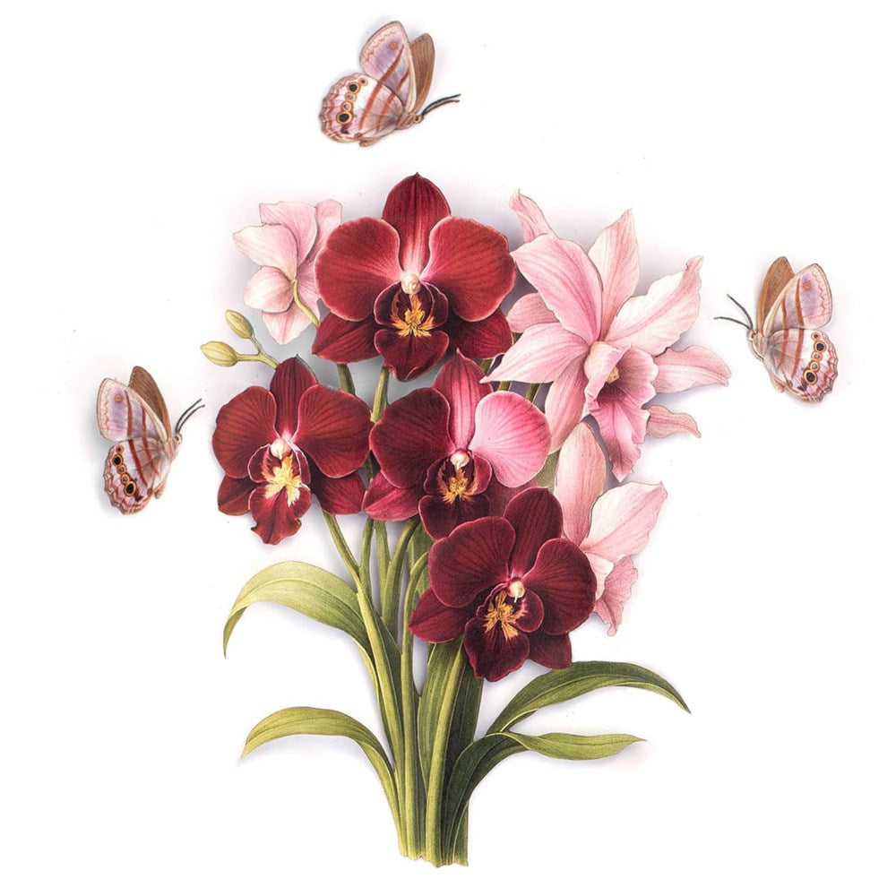 Moth &amp; Myth Blue-Gray Satyr &amp; Boat Orchid Set (4 pcs)