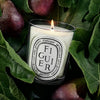 Diptyque Figuier (Fig Tree) Classic Candle (190 g) - product shown on top of fig plants.