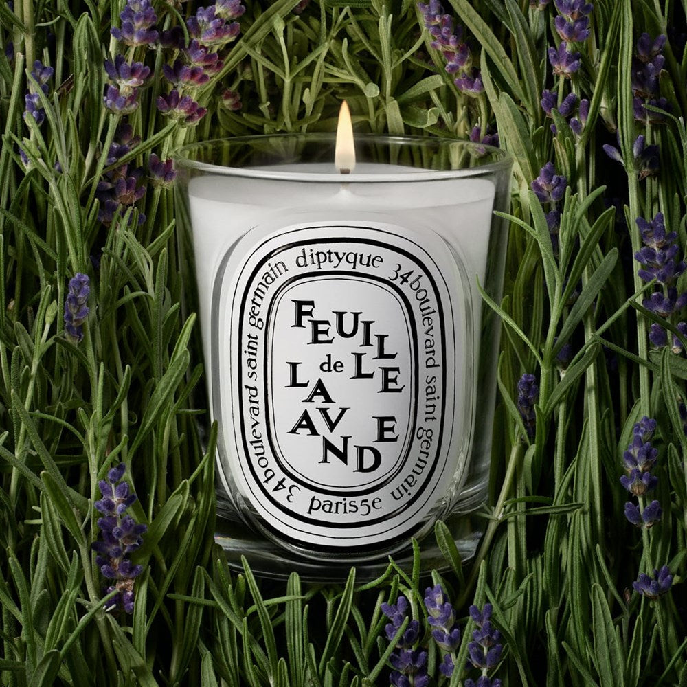 Diptyque Feuille De Lavande (Lavender Leaf) Classic Candle (190 g) - product shown on top of lavender. 