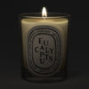 Diptyque Eucalyptus Classic Candle (190 g) - product shown lit. 