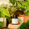 Pepin Neem Oil (60 ml) - product shown on green background.