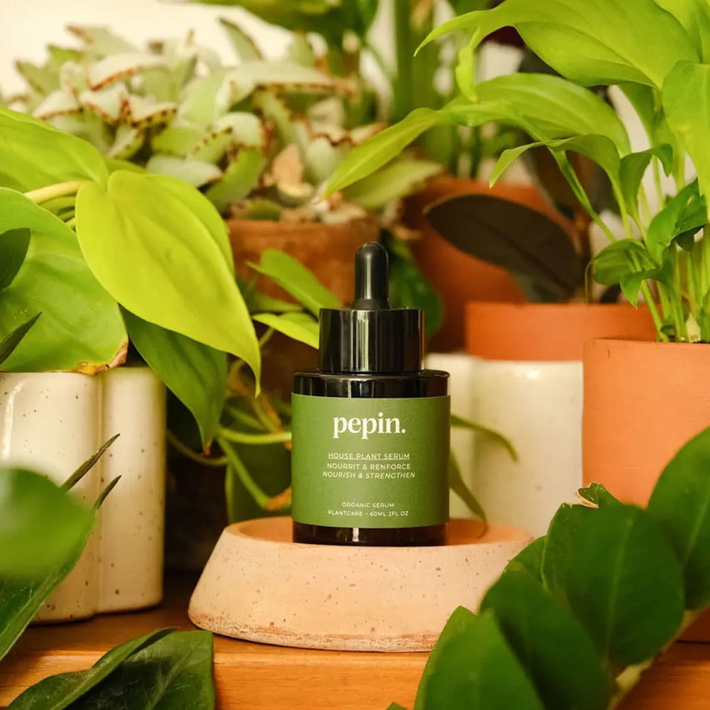 Pepin House Plant Serum (60 ml)- product shown on a plant. 