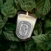 Diptyque Patchouli Classic Candle (190 g)  - product shown on top of patchouli leaves. 