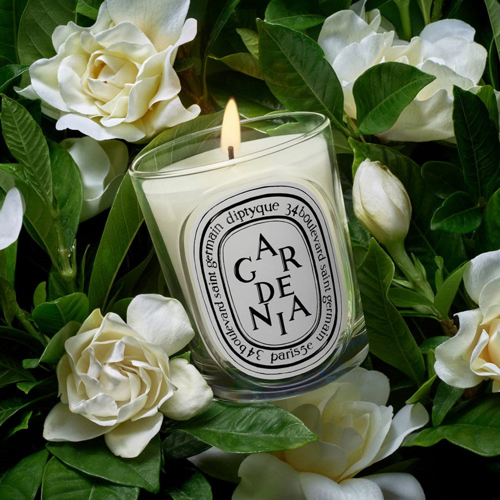 Diptyque Gardenia Classic Candle (190 g) - product shown on gardenia flowers. 
