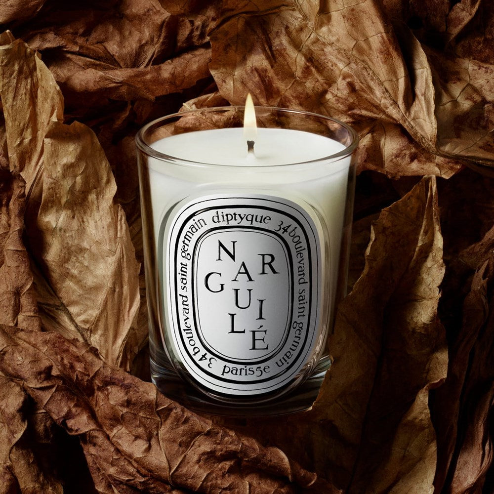 Diptyque Narguile Classic Candle (190 g) - product shown on top of leaves. 