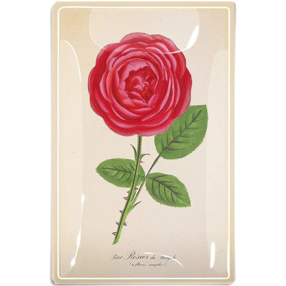 Ben's Garden Decoupage Glass Tray - Single Hot Pink David Austin Rose Stem (1 pc)