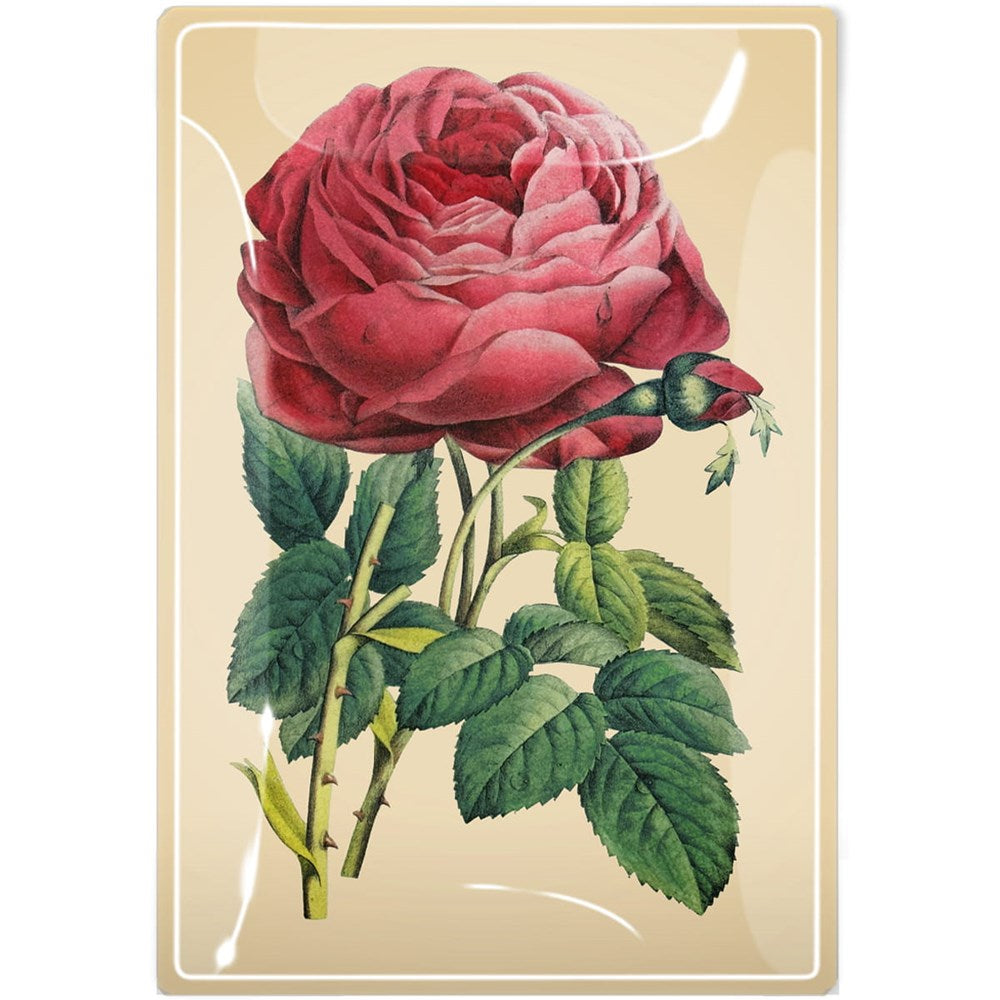 Ben's Garden Decoupage Glass Tray - Glistening Pink Rose (1 pc) 