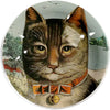 Crystal Dome Paperweight - The Clever Cat