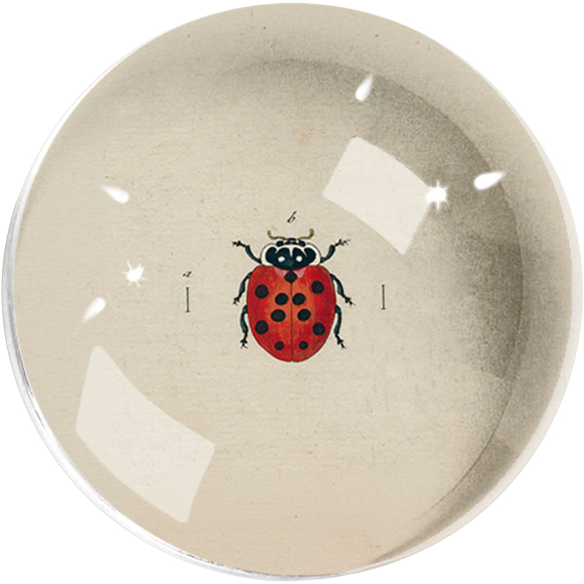 Ben's Garden Crystal Dome Paperweight - Argentinian Red Ladybug (1 pc)