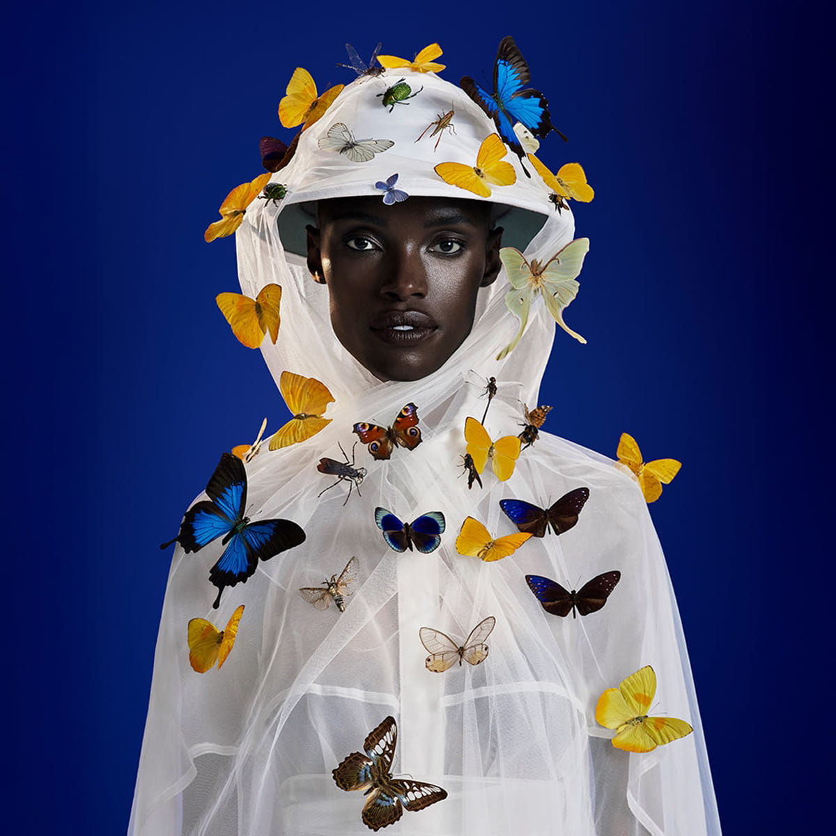 Heretic Parfum The Entomologist Candle Set (3 pcs) - model shown on blue background in white netting with butterflies all over. 