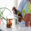 Botanopia Complete Organic Plant Food (450 ml) - product shown being used. 
