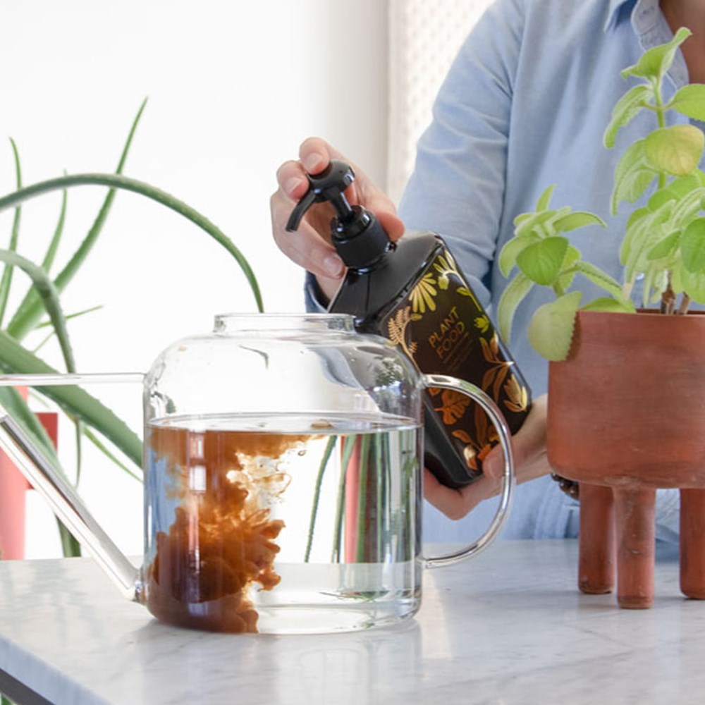 Botanopia Complete Organic Plant Food (450 ml) - product shown being used. 