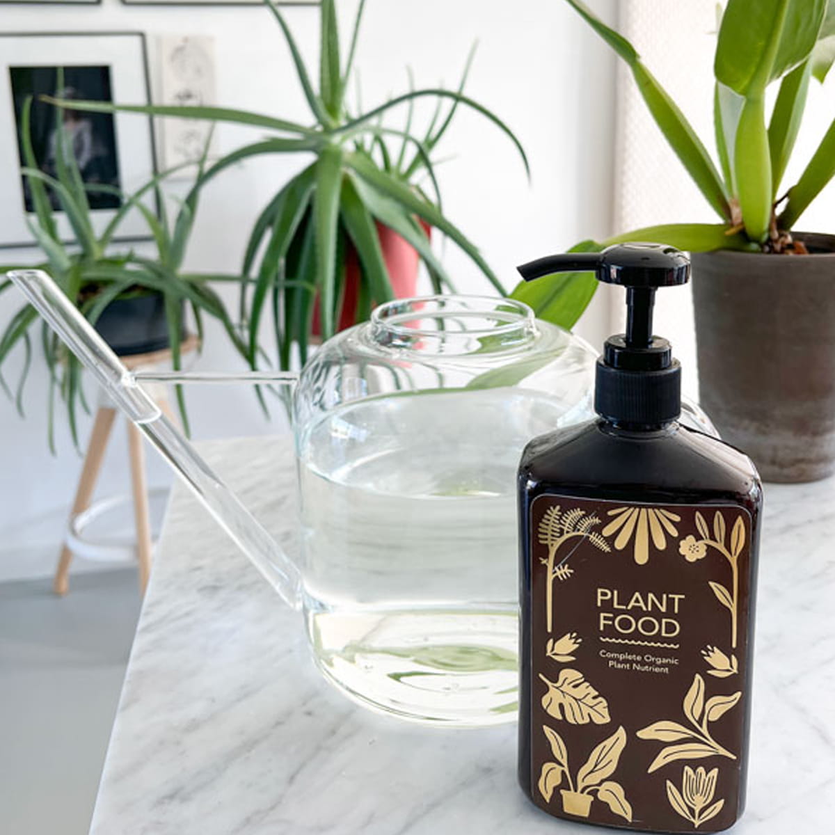 Botanopia Complete Organic Plant Food (450 ml) - product shown on marble counter in front of plants. 
