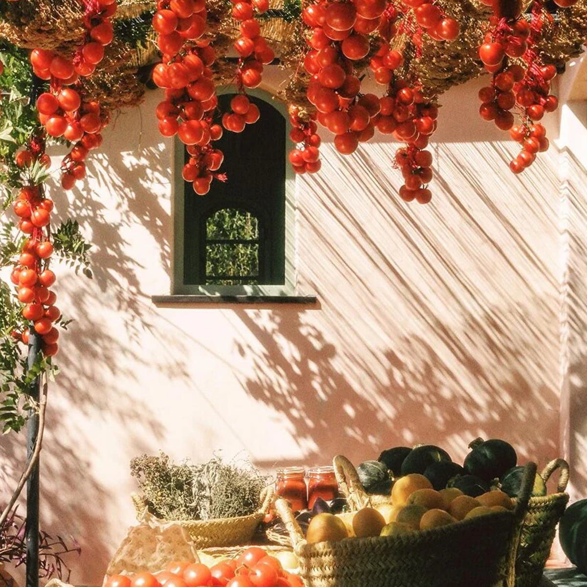 Heirloom tomatoes hanging outside with herbs and produce in baskets on a table outside with sunlight casting shadows against the wall.