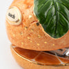 Nach Orange Stapler (1 pc) - product shown up close.