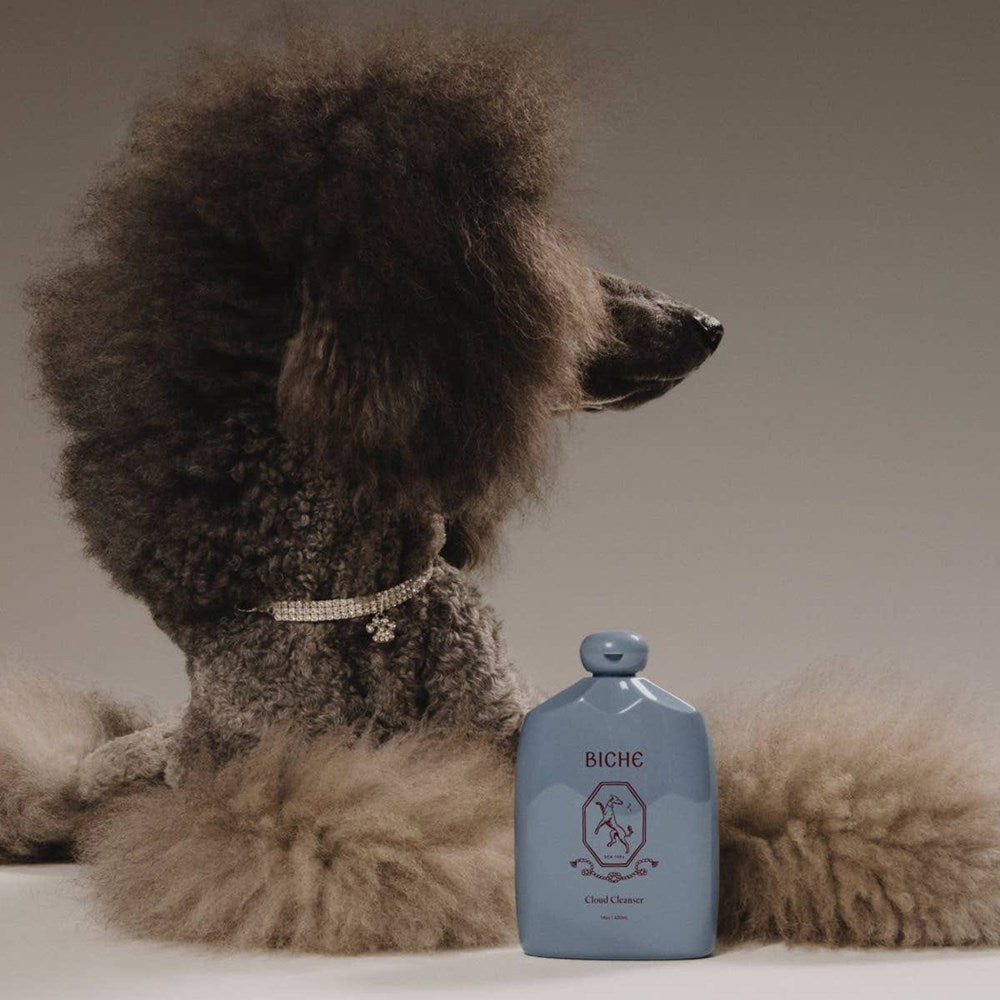 Biche Cloud Cleanser For Dogs (420 ml) - product shown in front of dog. 