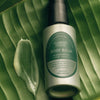 Flamingo Estate Oaxacan Apple Banana Body Balm (100 ml) - product shown on leaf next to swatch