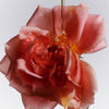 Flamingo Estate Jasmine Damask Rose Hand Soap (355 ml) - rose with honey on it shown. 