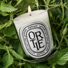 Diptyque Ortie (Nettle) Classic Candle (190 g) - product shown on leafy background. 