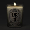 Diptyque Ortie (Nettle) Classic Candle (190 g) - product shown lit on dark background. 