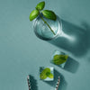 Cleo+Coco Body & Hair Powder - Basil Mint (25 g) - mint leaves shown in glass. 