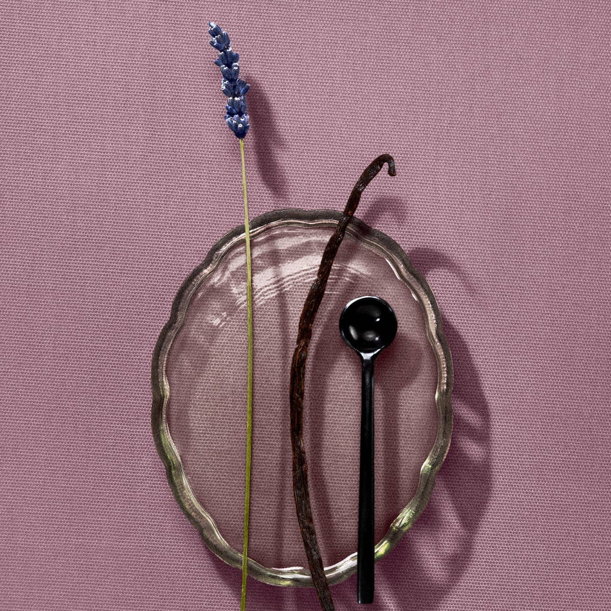 Cleo+Coco Body & Hair Powder - Lavender Vanilla (25 g) - Vanilla bean, black spoon, and lavender on a textured plate against a pink background