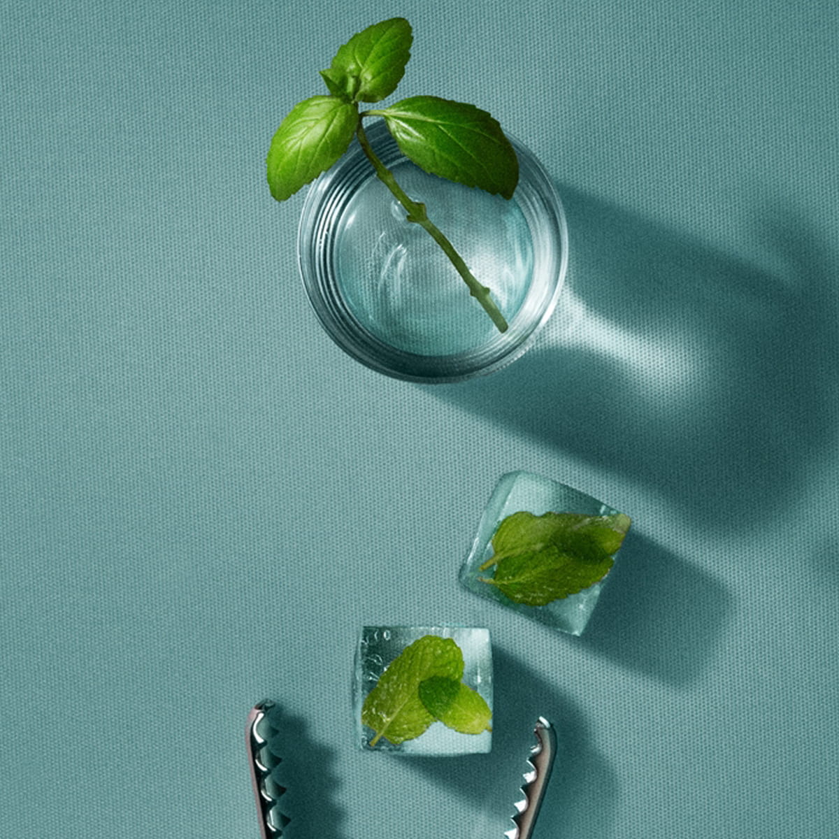 Cleo+Coco Extra Strength Deodorant - Basil Mint (62 g) - Clear glass with mint leaves on a teal background