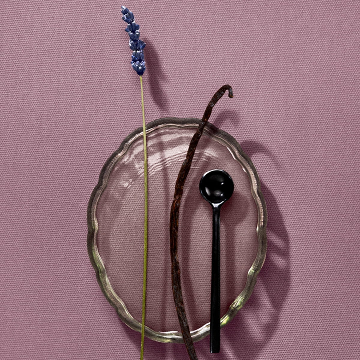 Cleo+Coco Extra Strength Deodorant - Lavender Vanilla (62 g) - lavender, vanilla and spoon shown on pink background. 