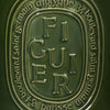 Diptyque Figuier (Fig) Large Candle (600 g) - product shown up close. 