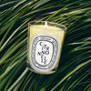 Diptyque Citronnelle (Lemongrass) Classic Candle (190 g) - product shown on leafy background. 