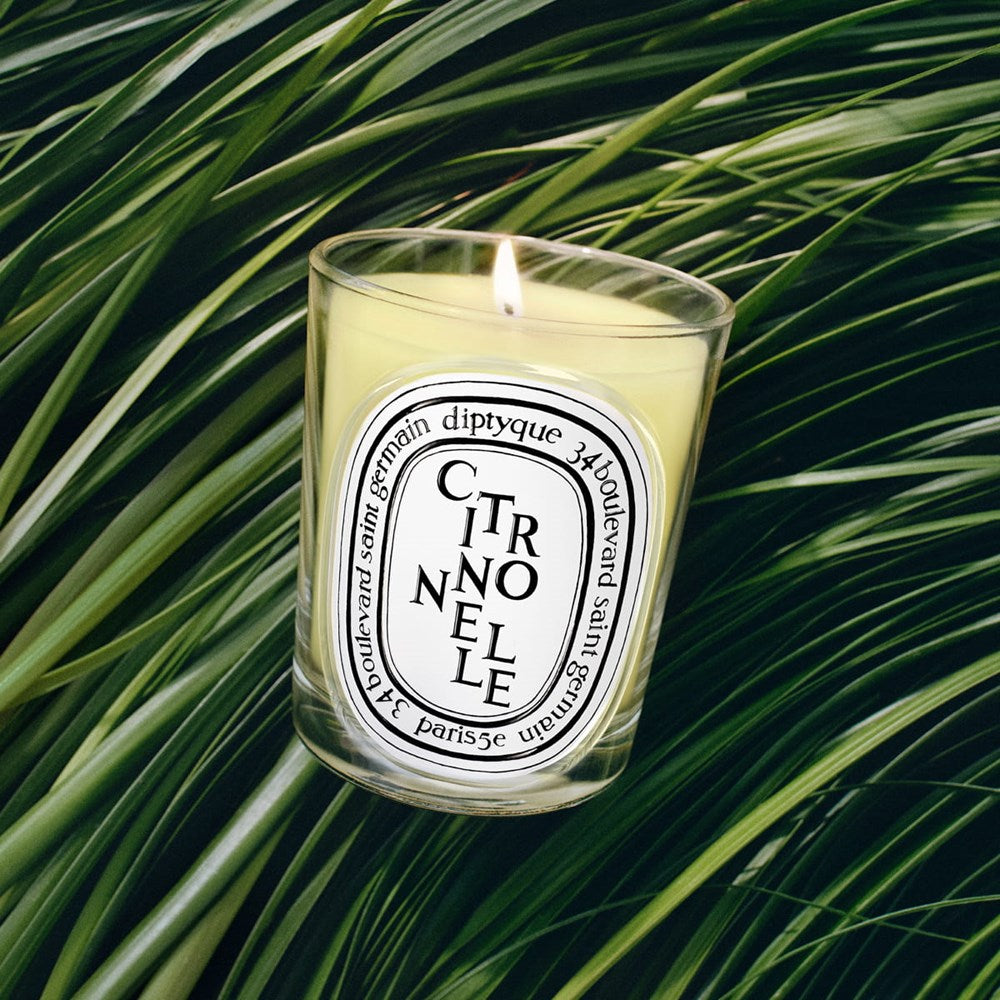 Diptyque Citronnelle (Lemongrass) Classic Candle (190 g) - product shown on leafy background. 