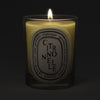 Diptyque Citronnelle (Lemongrass) Classic Candle (190 g) - product shown lit on dark background. 
