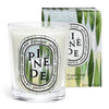 Diptyque Pinede (Pine Grove) Classic Candle (190 g) - product shown with packaging. 