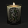 Diptyque Pinede (Pine Grove) Classic Candle (190 g) - product shown lit on a dark background. 