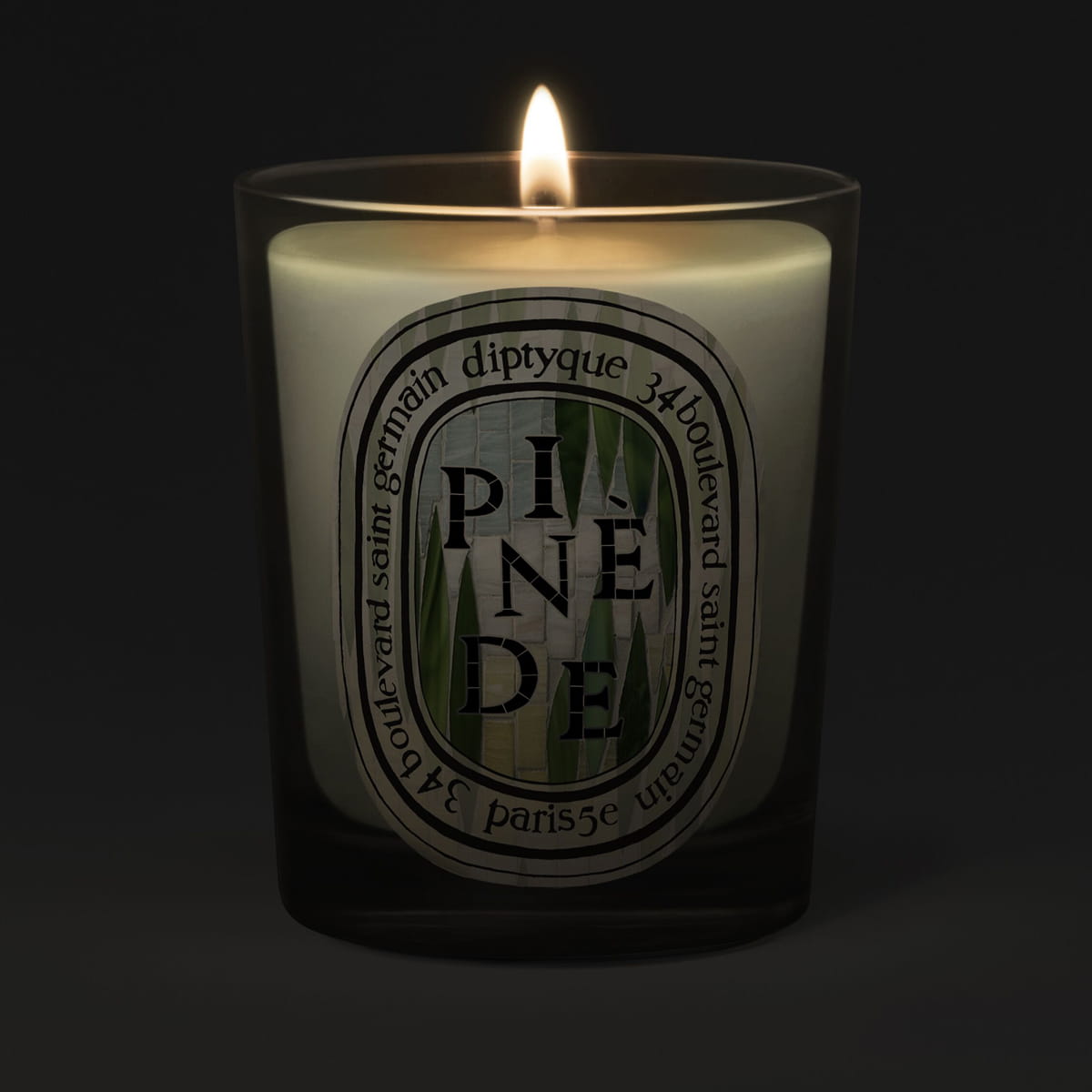 Diptyque Pinede (Pine Grove) Classic Candle (190 g) - product shown lit on a dark background. 