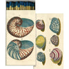 18th Century Shells Matches