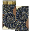 Nautilus Matches