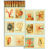 Mollusks, Coral, Seastars Matches