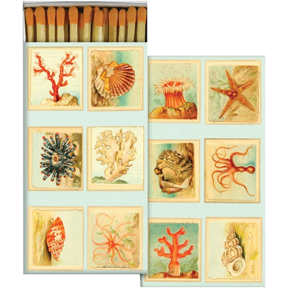 HomArt Mollusks, Coral, Seastars Matches (1 box)