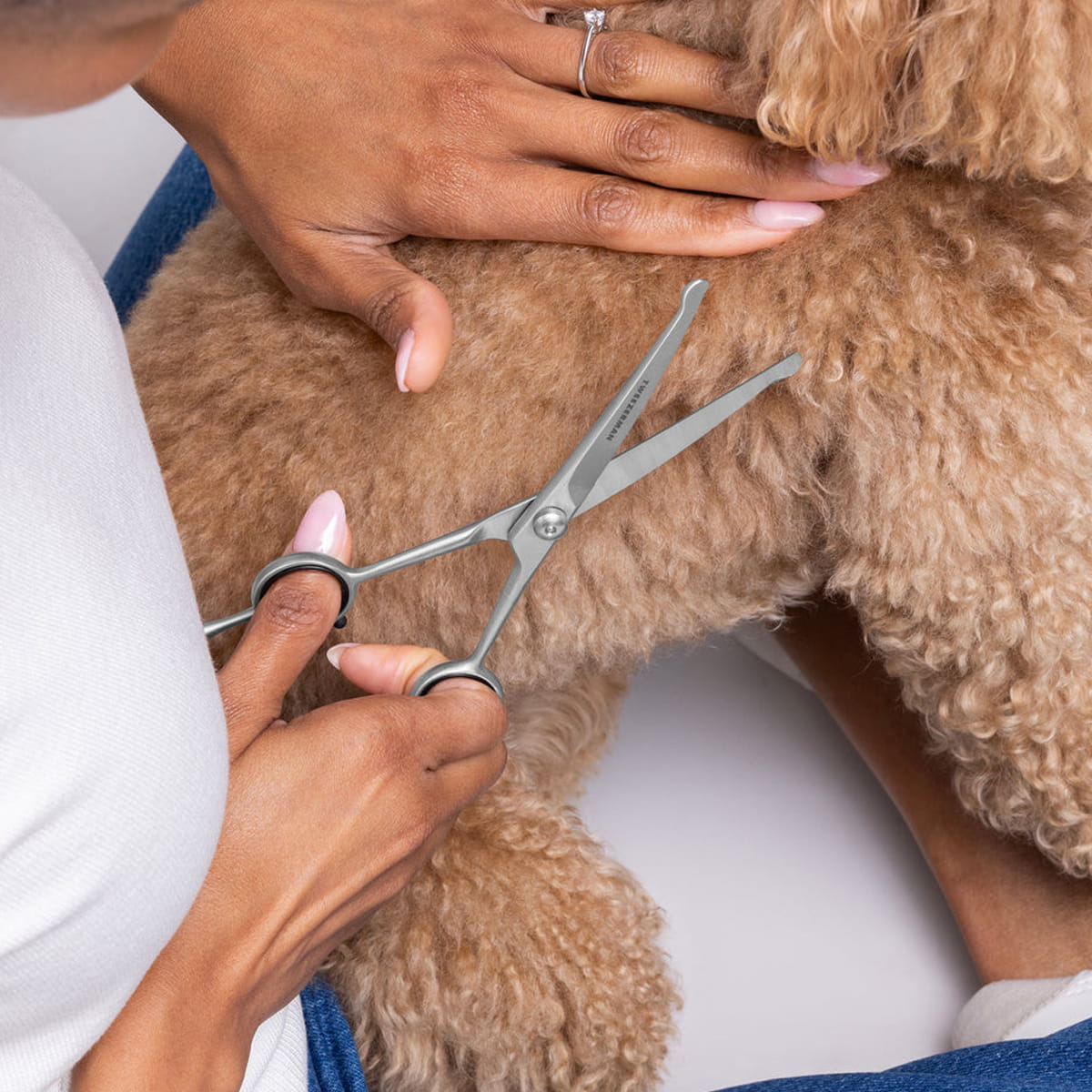 Close up of woman using Tweezerman Pet Curved Grooming Shears on dog