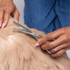 Close up of woman using Tweezerman Pet Curved Grooming Shears on dog