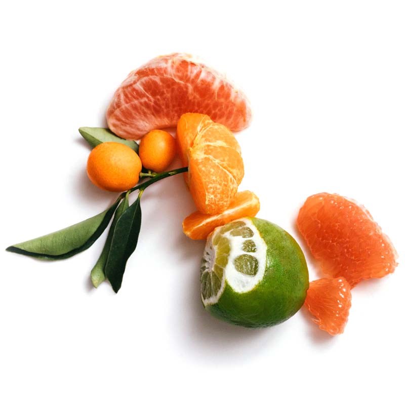 Corpus Nº Green Natural Body Wash (266 ml) - citrus shown on white background.