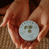 Sḵwálwen Botanicals Shkweń Devil's Club & Nettle Salve (1.81 oz) - product shown being held in hands.