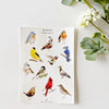 Emily Lex Studio Birds Sticker Sheets (2 sheets) - product shown on white background.