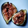 Fig shown cut in half.
