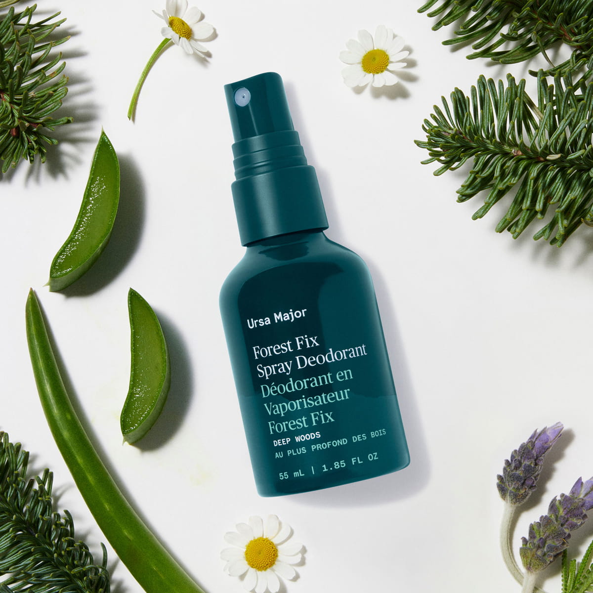 Ursa Major Forest Fix Spray Deodorant (1.85 oz) shown top view surrounded by green aloe vera leaves, lavender, pine needles, and daisies.